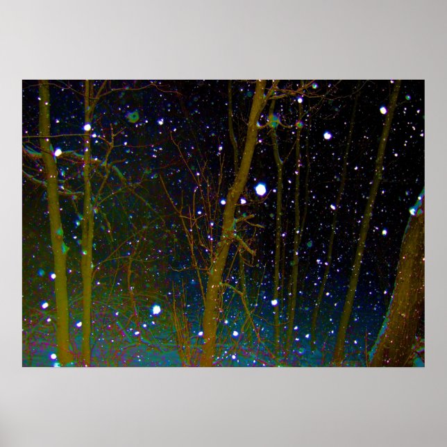 Affiches Flocons de neige dans les bois (Devant)