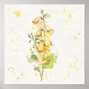Affiches Floral Jaune