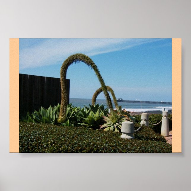 Affiches Floral Wonders (Devant)