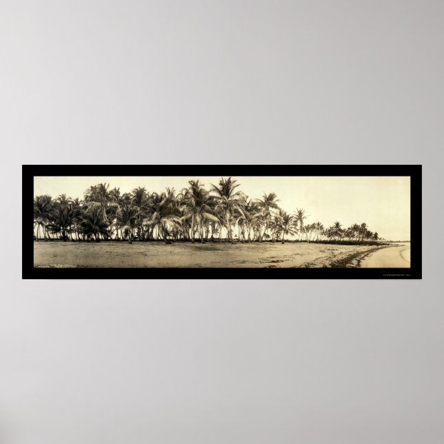 Affiches Florida Keys Fishing Photo 1912 (Devant)