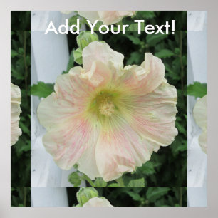 Affiches Flower Hollyhock