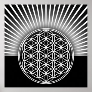 Affiches Flower of Life / Fleur de Vie - blanc plat