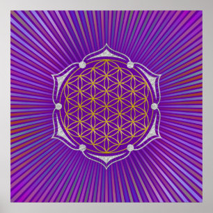 Affiches Flower Of Life - Lotus or argent