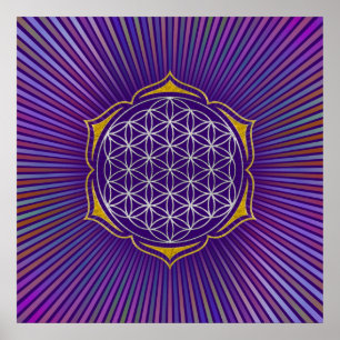 Affiches Flower Of Life - Lotus or argent