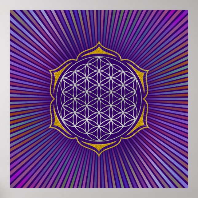 Affiches Flower Of Life - Lotus or argent (Devant)
