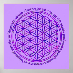 Affiches Flower Of Life - Moola Mantra - violet