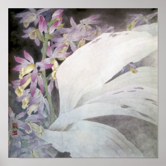 Affiches Flower Seires II- Phaiuses (Devant)