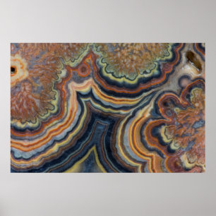 Affiches Flowering tube onyx