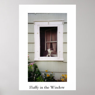 Affiches Fluffy dans la fenêtre