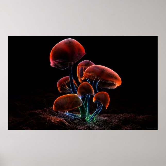 Affiches Fluorescence (2009) (Devant)