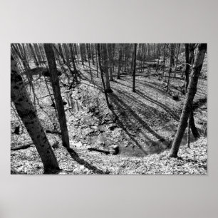 Affiches Flux dans Highbanks Metropark (noir/blanc)