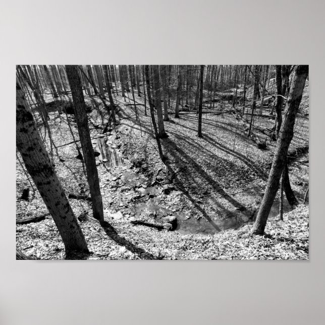 Affiches Flux dans Highbanks Metropark (noir/blanc) (Devant)