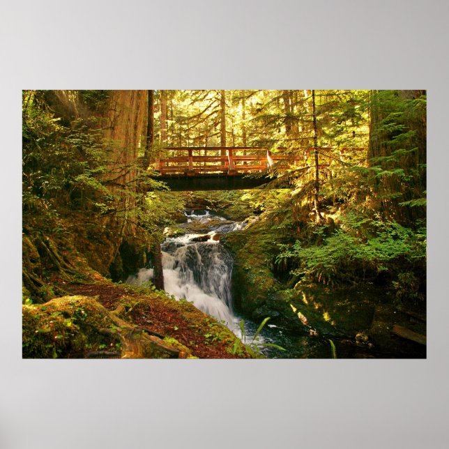 Affiches Flux d'automne (Devant)