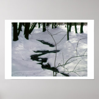 Affiches Flux d'hiver