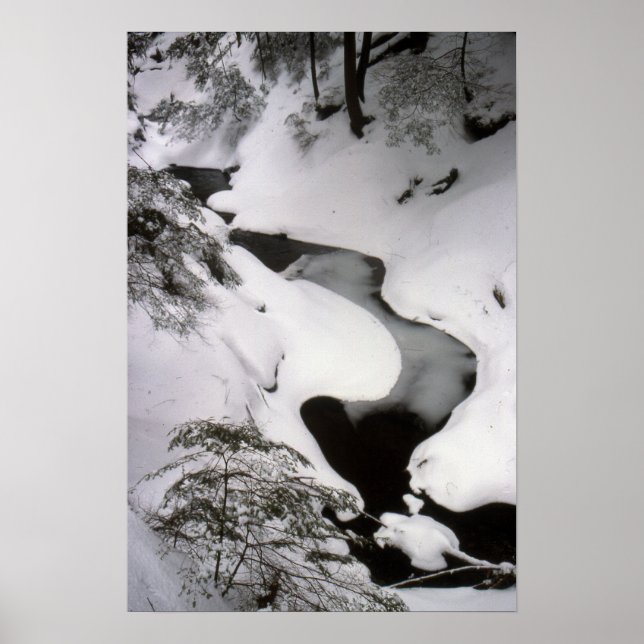 Affiches Flux en hiver (Devant)