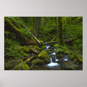 Affiches Flux humide tempéré de la rivière Columbia