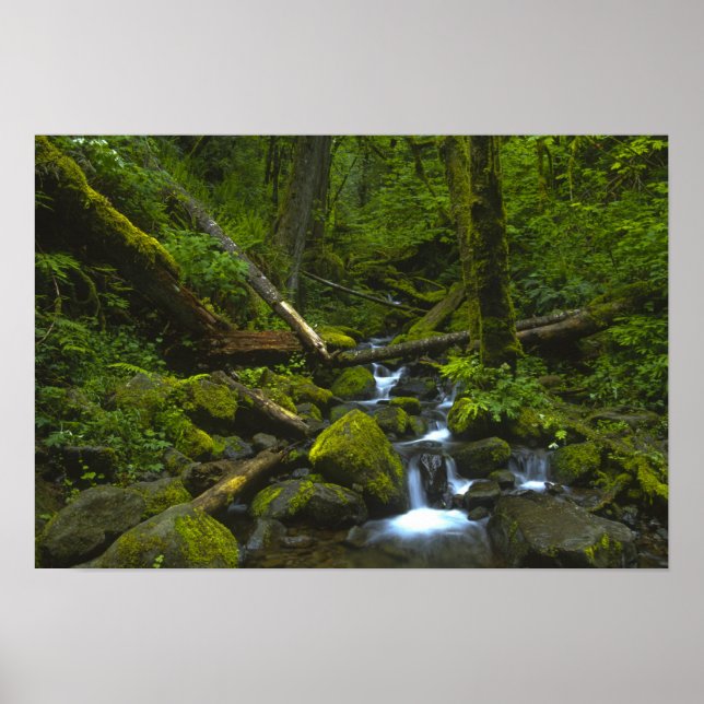 Affiches Flux humide tempéré de la rivière Columbia (Devant)