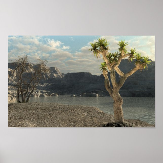 Affiches Flux occidental (Devant)