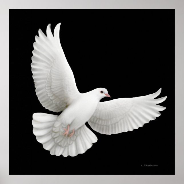 Affiches Flying White Dove Print (Devant)