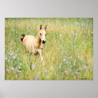 Affiches Foal et fleurs