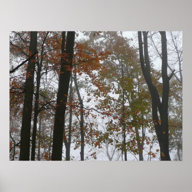 Affiches Foggy Fall en Pennsylvanie Automne Nature (Devant)