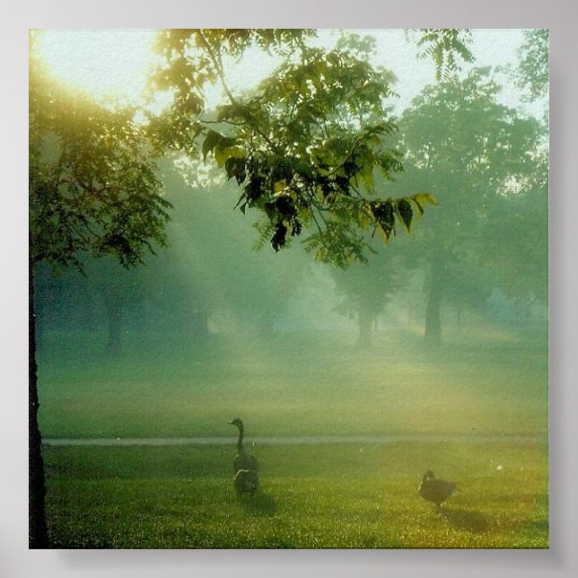 Affiches foggygeese (Devant)