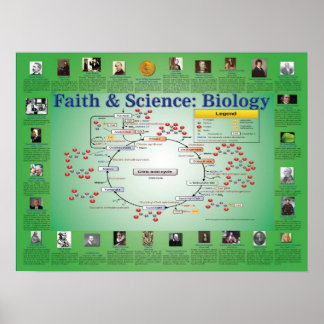 Affiches Foi et science : Biologie (cycle Krebs)