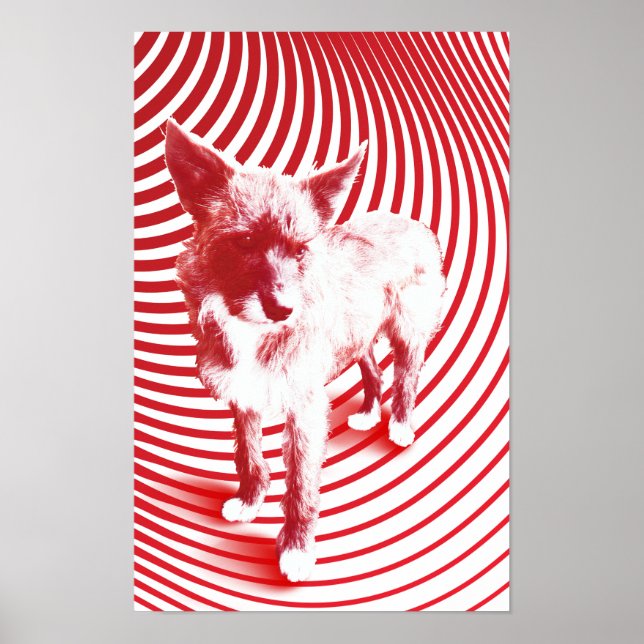 Affiches folle hazie (Devant)