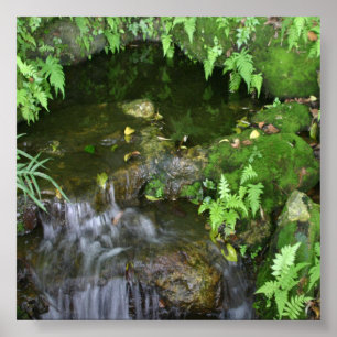 Affiches Fond photo Fairy Hot Spot