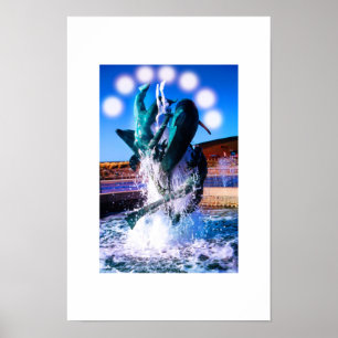 Affiches Fontaine qui nage avec les dauphins