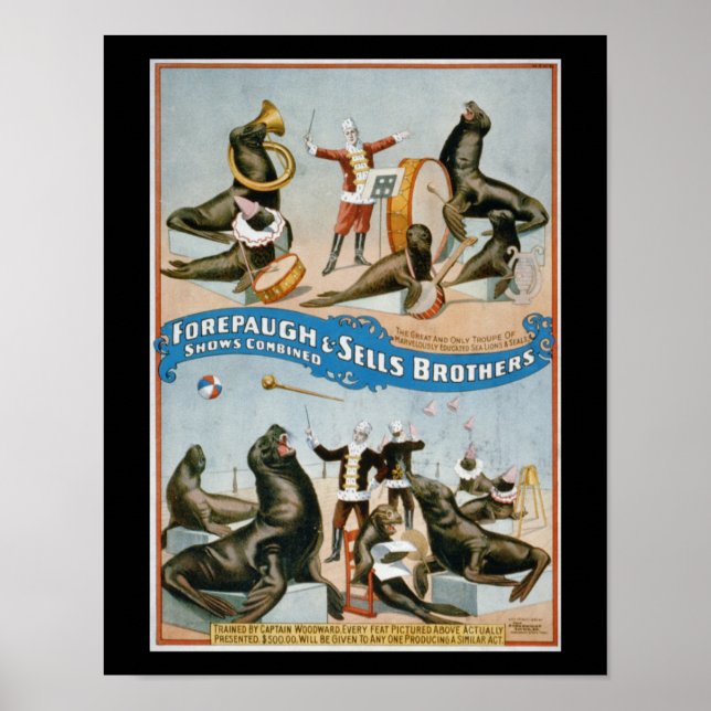 Affiches Forepaugh and Sells - vintage circus sealions (Devant)