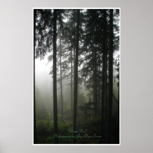 Affiches "FOREST MIST" Forêt sauvage Imprimer