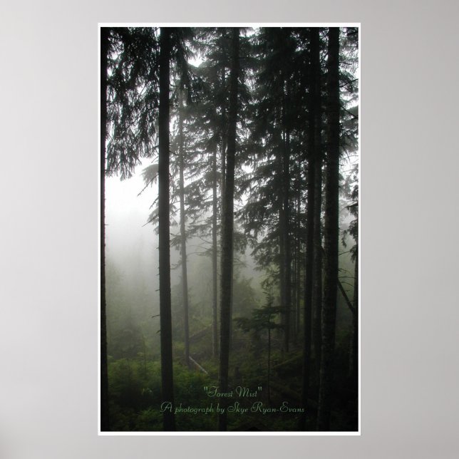 Affiches "FOREST MIST" Forêt sauvage Imprimer (Devant)