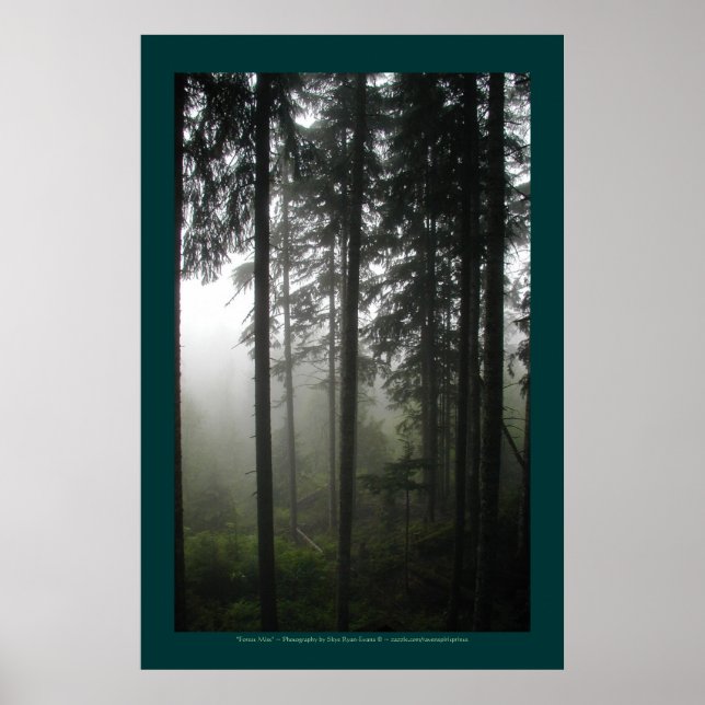 Affiches "FOREST MIST" Forêt sauvage Imprimer (Devant)