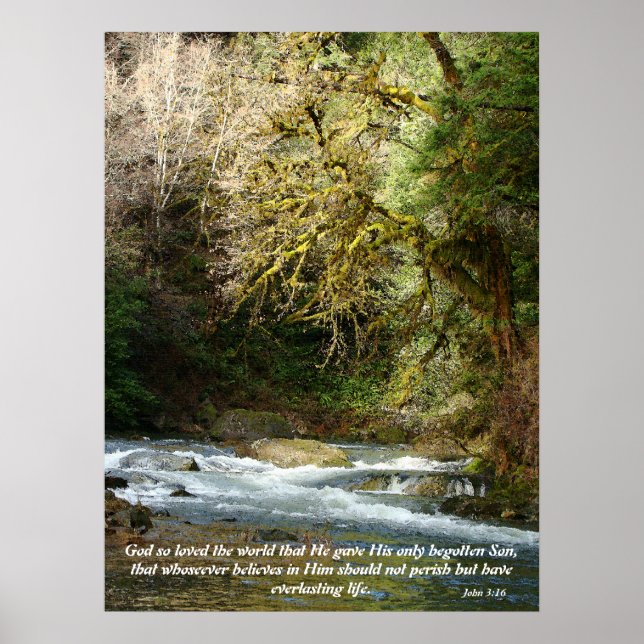 Affiches Forest & Rushing River John 3:16 Imprimer (Devant)