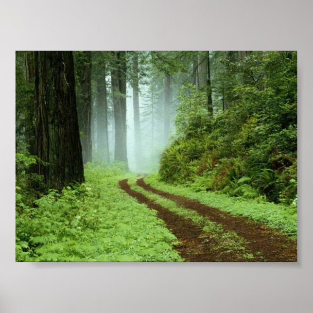 Affiches Forêt (Devant)