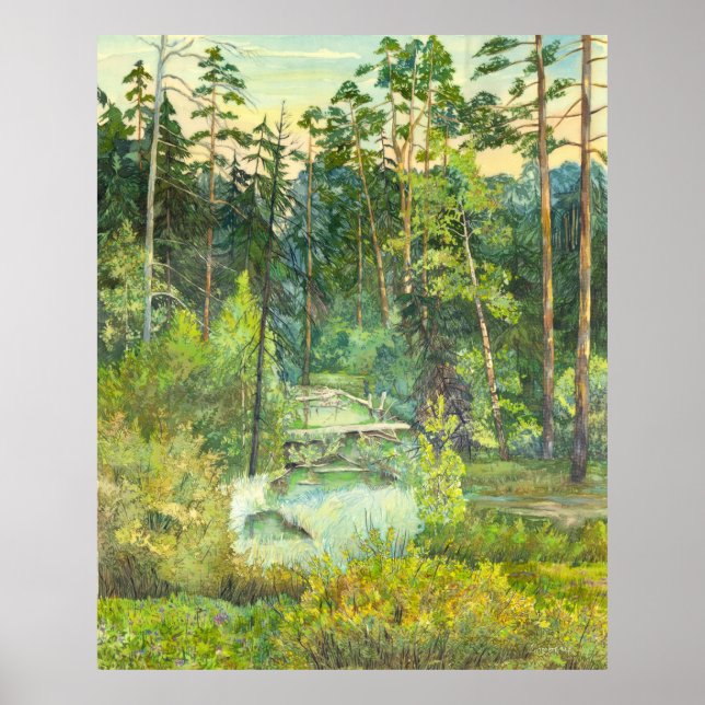 Affiches forêt (Devant)