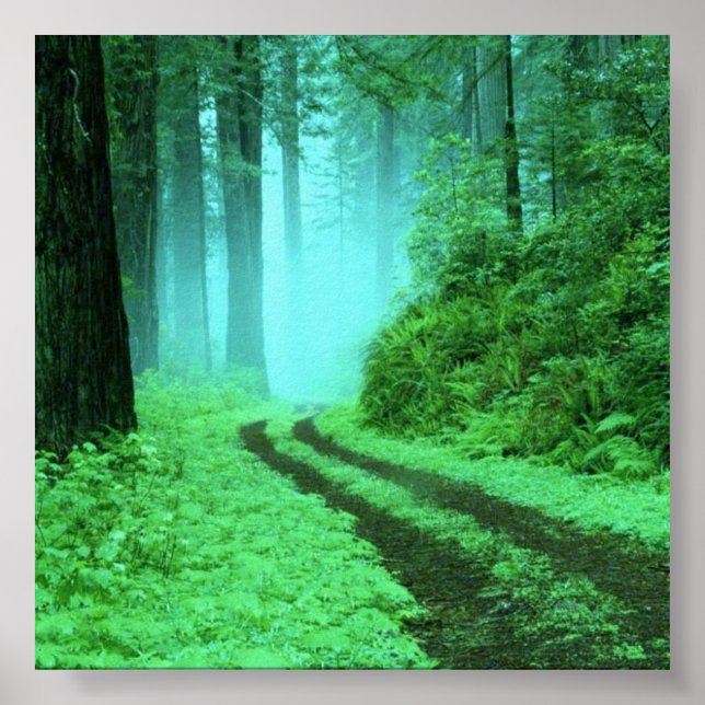 Affiches forêt (Devant)