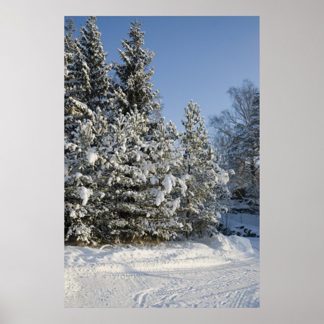 Affiches Forêt (Devant)