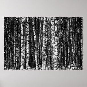 Affiches Forêt Abstraite de Birch Noir et Blanc