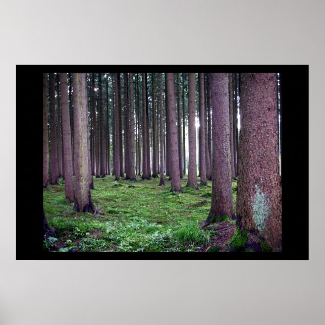 Affiches Forêt bavaroise (Devant)