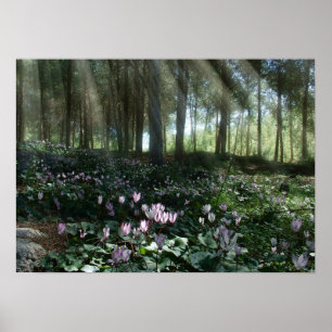 Affiches Forêt Ben Shemen en Israël, Terre Sainte