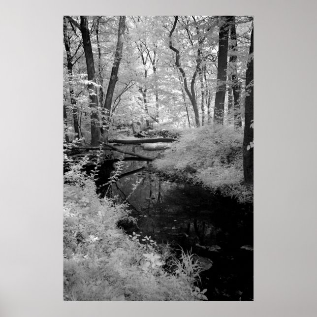 Affiches Forêt Brook infrarouge (Devant)
