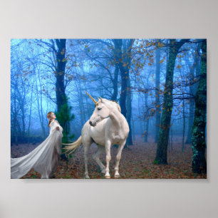 Affiches Forêt brumeuse