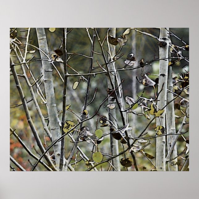Affiches Forêt d'Aspen (Devant)