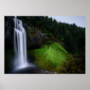 Affiches Forêt de cascade