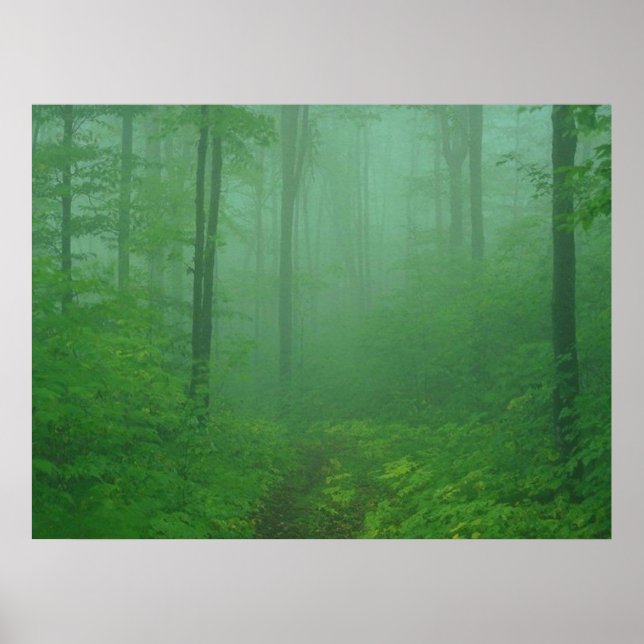 Affiches Forêt de Foggy (Devant)