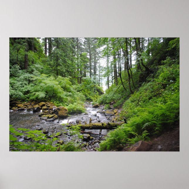 Affiches Forêt de l'Oregon (Devant)