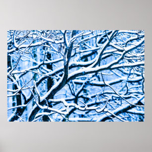 Affiches Forêt de Noël