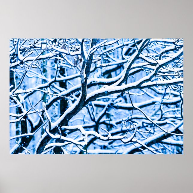 Affiches Forêt de Noël (Devant)